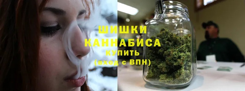 Конопля LSD WEED  блэк спрут ссылки  Шилка 